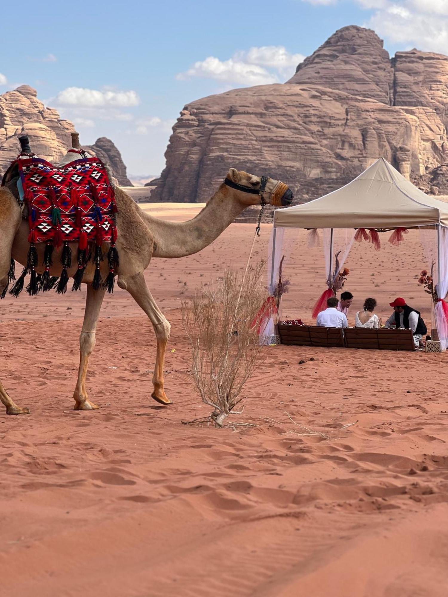 דירות וואדי רם Moon Magic Valley מראה חיצוני תמונה