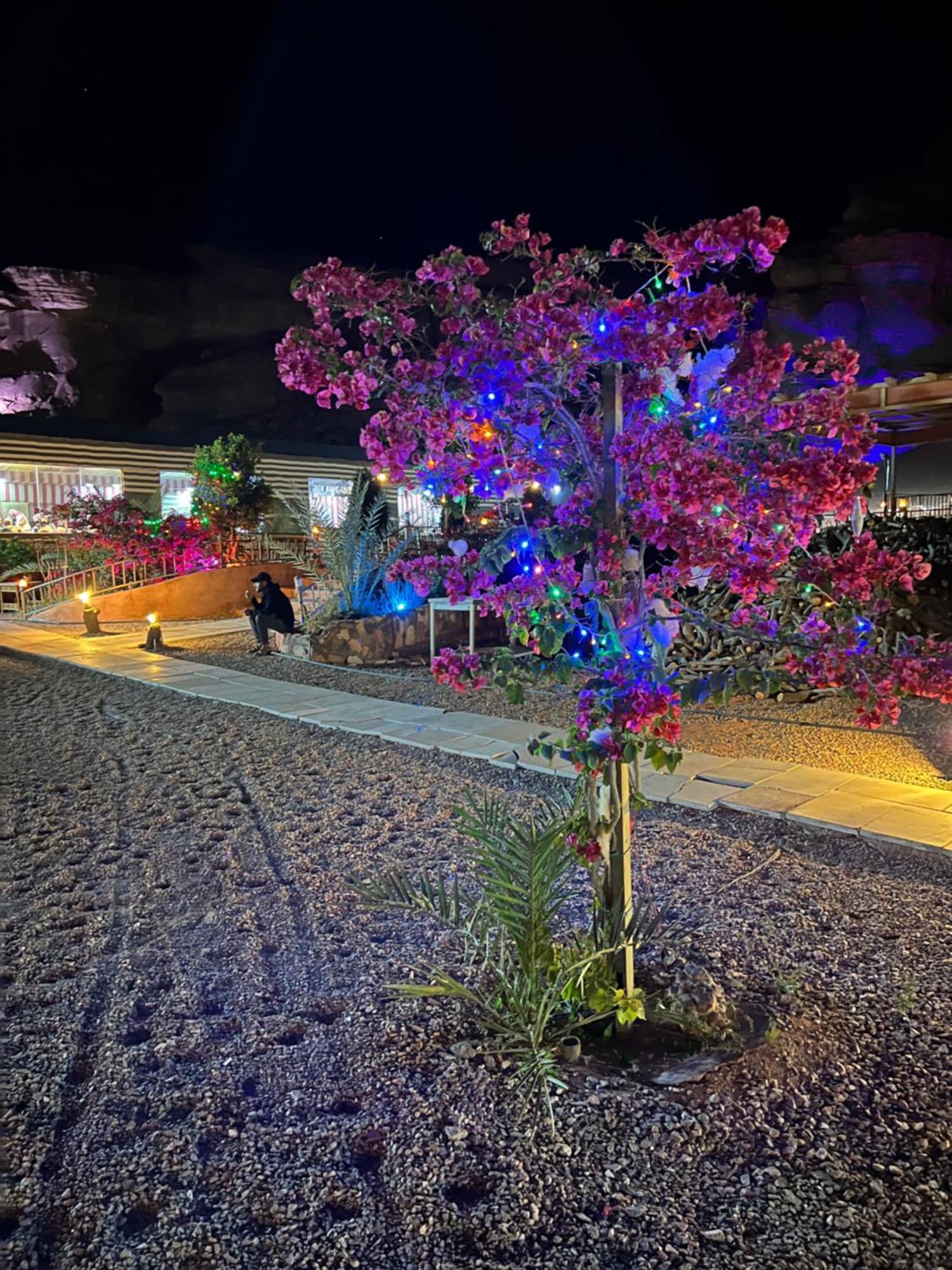 דירות וואדי רם Moon Magic Valley מראה חיצוני תמונה